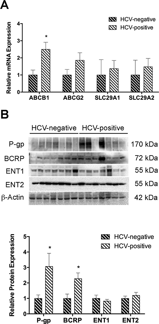 Figure 1: