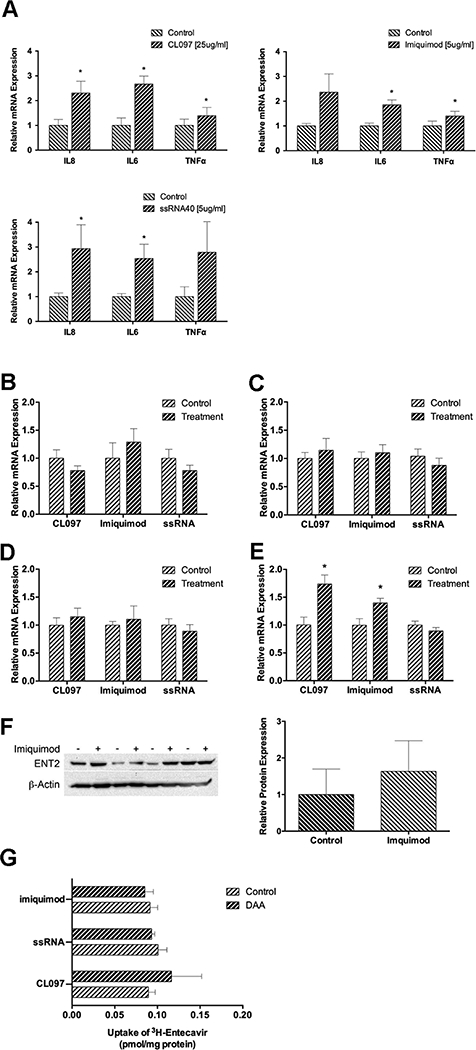 Figure 4: