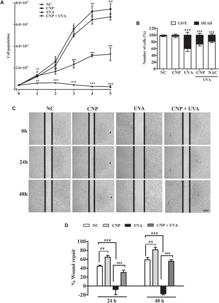 FIGURE 4