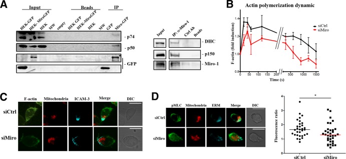 FIG 6