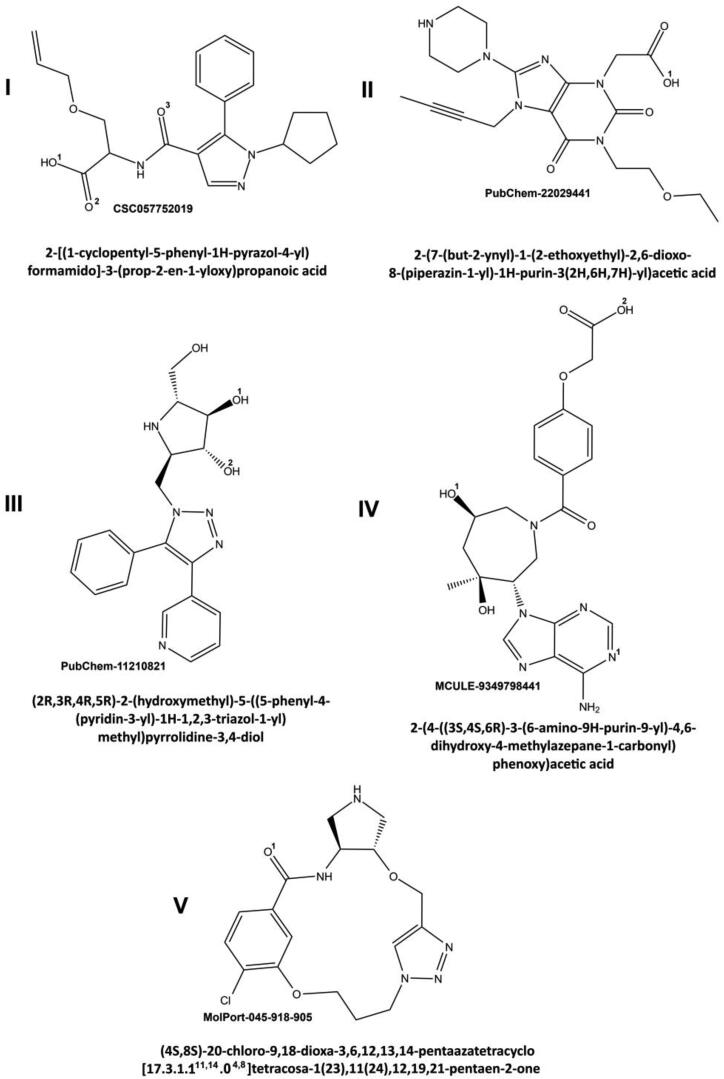 Figure 2.