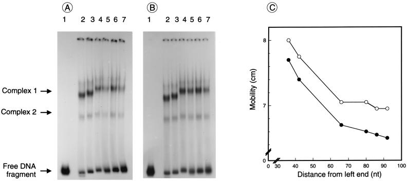 FIG. 6