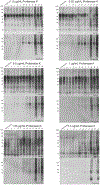 Extended Data Fig. 4 |