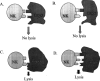 Fig. 1A–C.