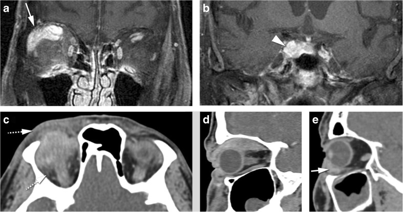 Fig. 8