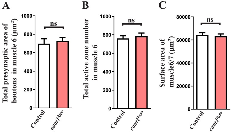 Figure 1—figure supplement 2.