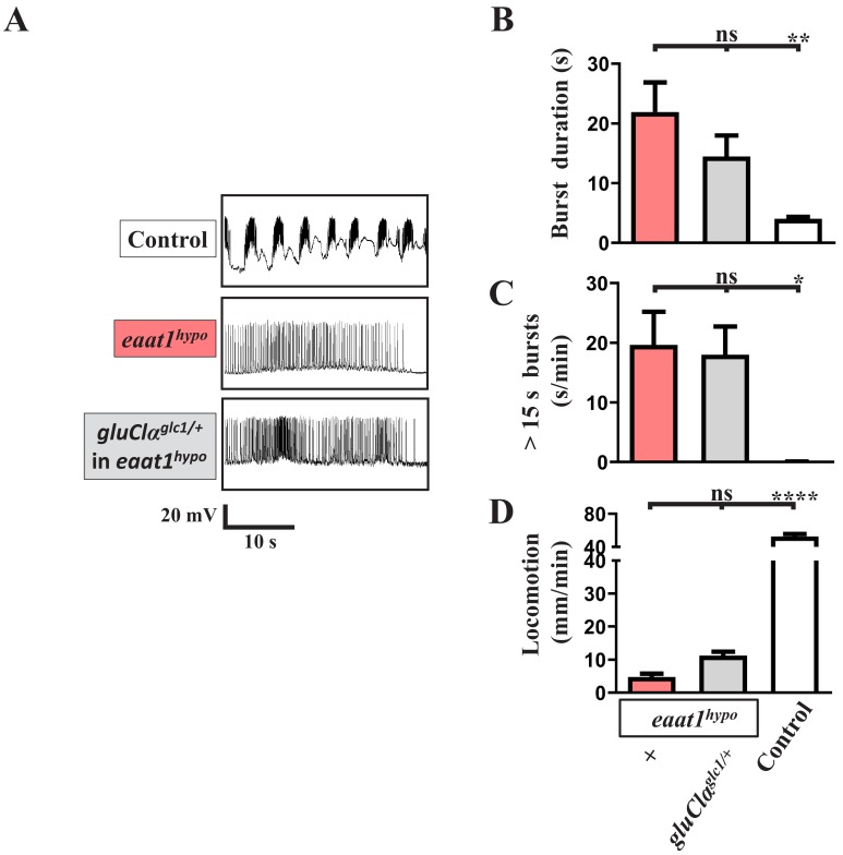 Figure 3—figure supplement 1.