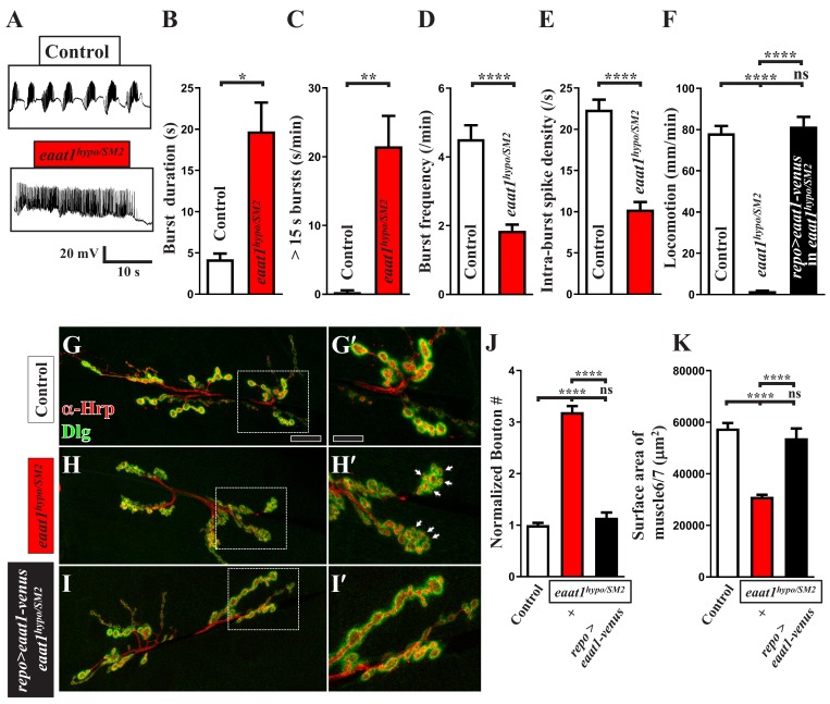 Figure 2—figure supplement 3.