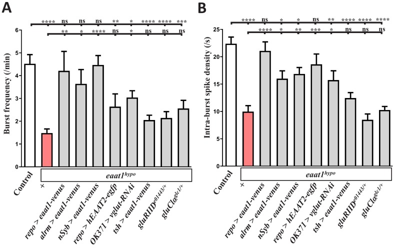 Figure 1—figure supplement 3.