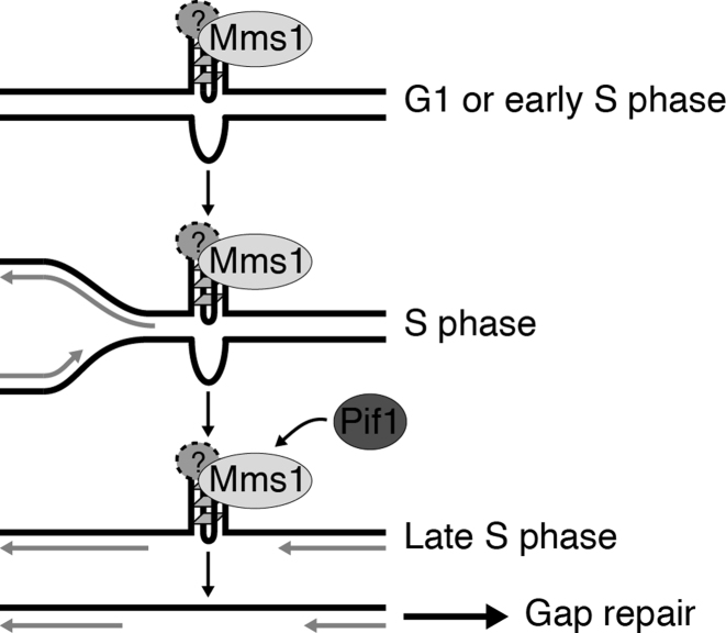 Figure 5.