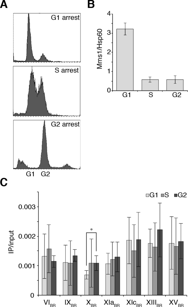 Figure 2.