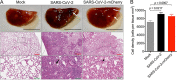 FIG 3