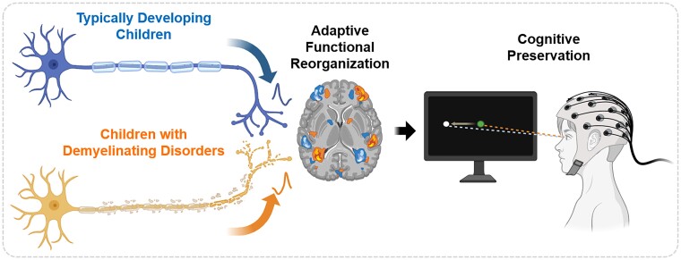 Graphical Abstract