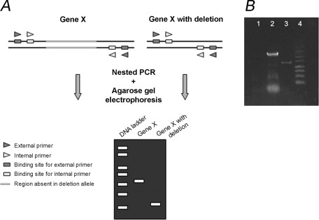 Figure 2.