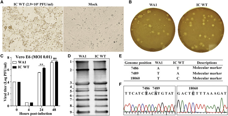 Figure 2