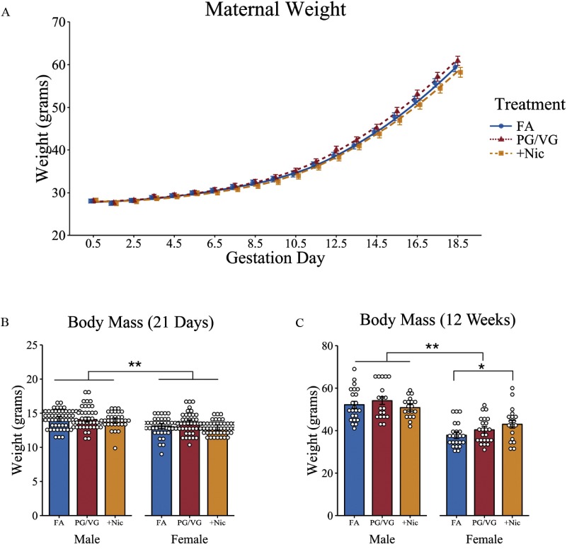 Figure 2A is a line graph of maternal weight, plotting weight, ranging from 20 to 70 grams (y-axis) across gestation day, ranging from 0.5 to 18.5 (x-axis) for treatments, including FA, PG virgule VG and plus Nic. Figure 2B and 2C are graphs titled body mass (21 days) and body mass (12 weeks), respectively, plotting weight ranging from 0 to 25 grams (Figure 2B) and 0 to 80 grams (Figure 2C) (y-axis) across FA, PG virgule VG, and plus Nic for male and female (x-axis).