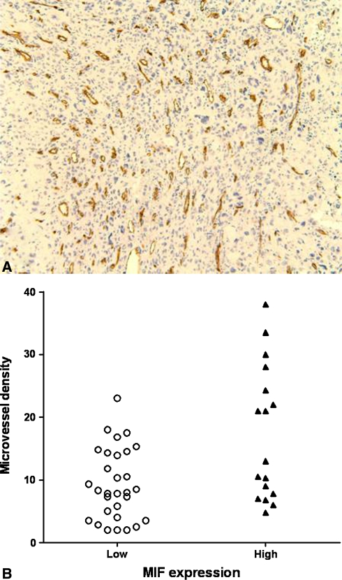 Fig. 3A–B