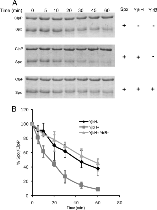 Fig. 5.