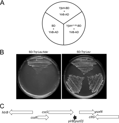 Fig. 1.