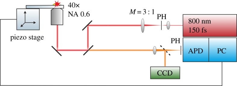 Figure 2.