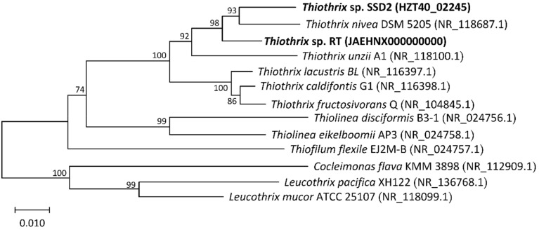 Figure 2