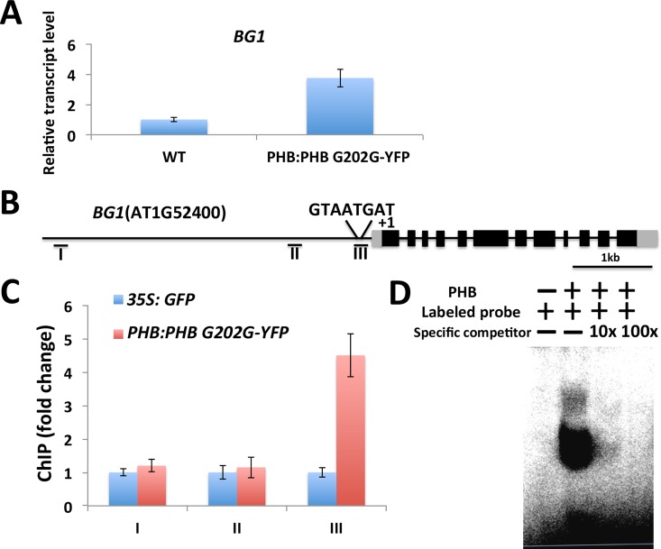 Fig 7