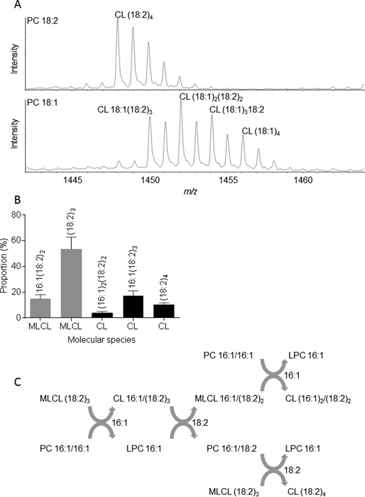 FIGURE 3.