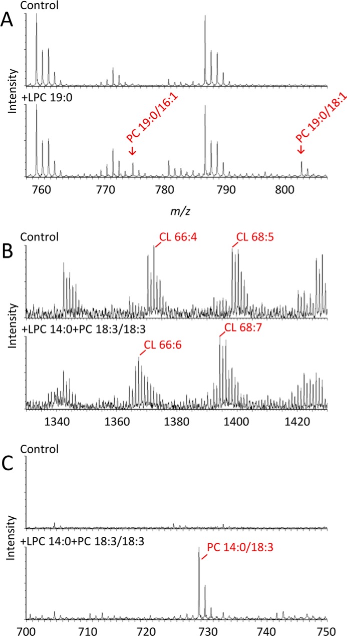 FIGURE 4.