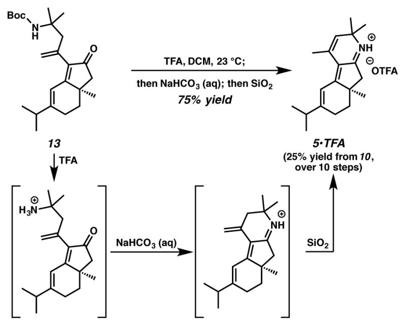 Scheme 2