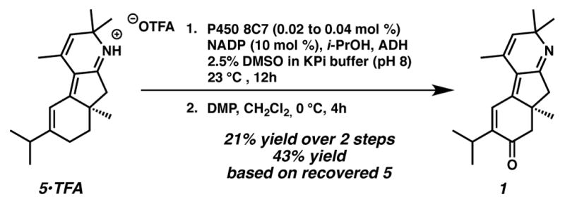 Scheme 3