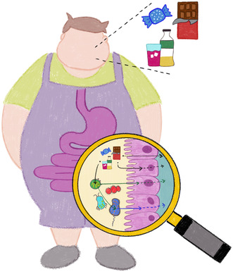 graphic file with name FEBS-292-1421-g002.jpg