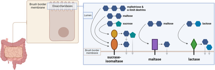 Fig. 1