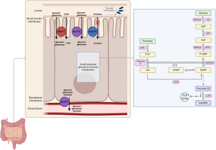 Fig. 2