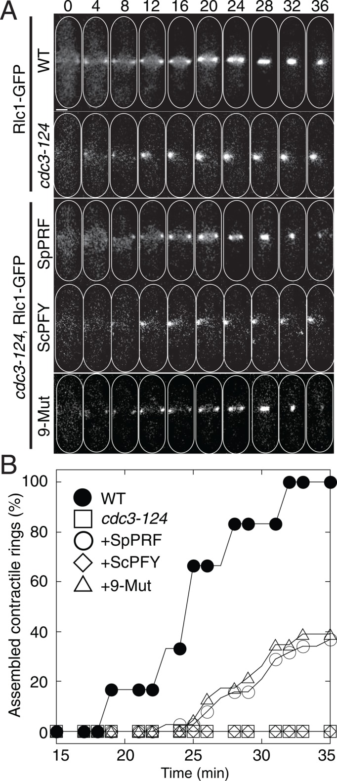 FIGURE 3: