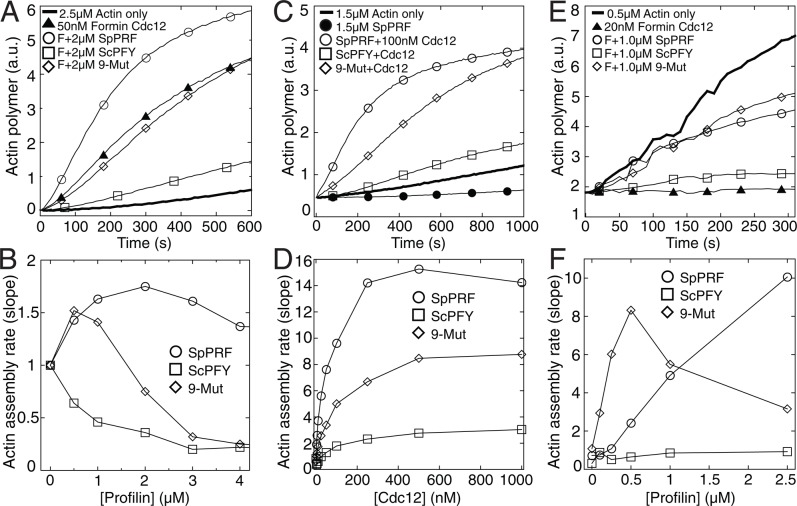 FIGURE 5: