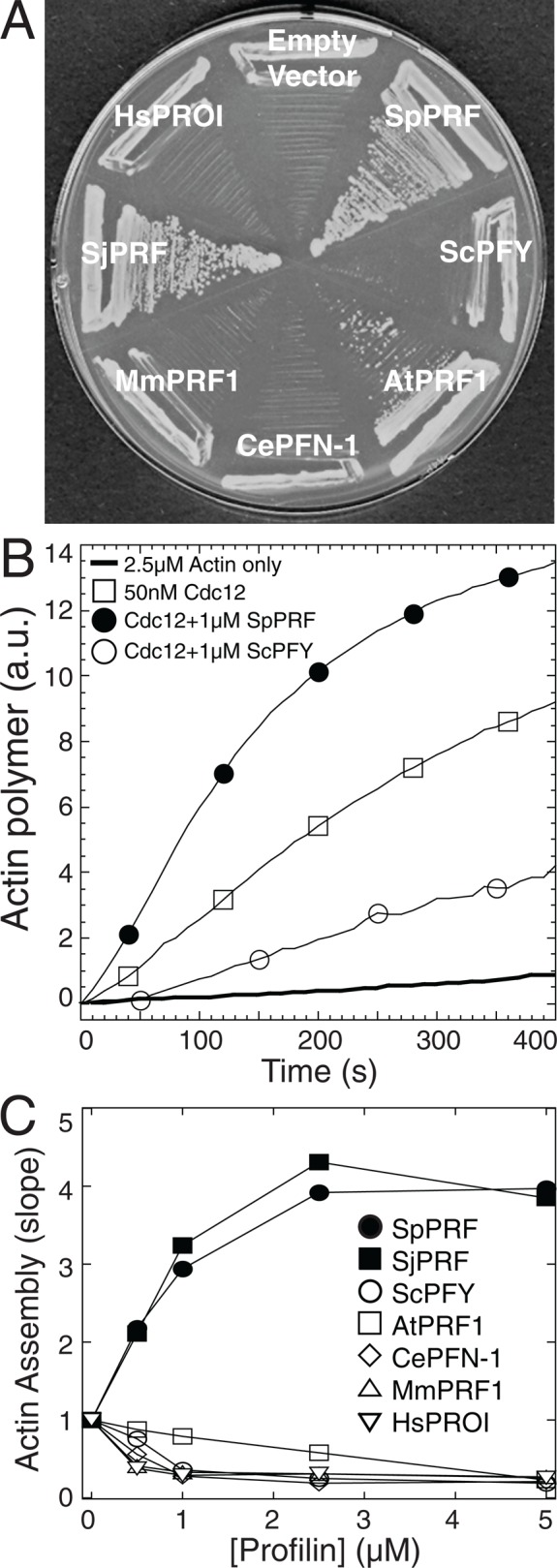 FIGURE 4: