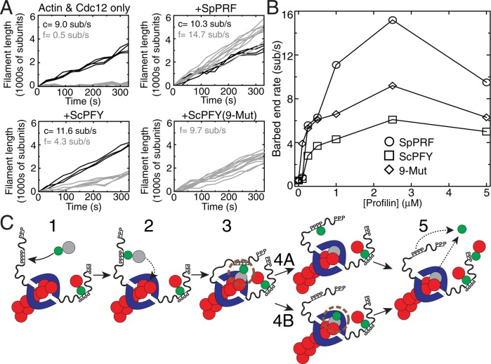 FIGURE 6: