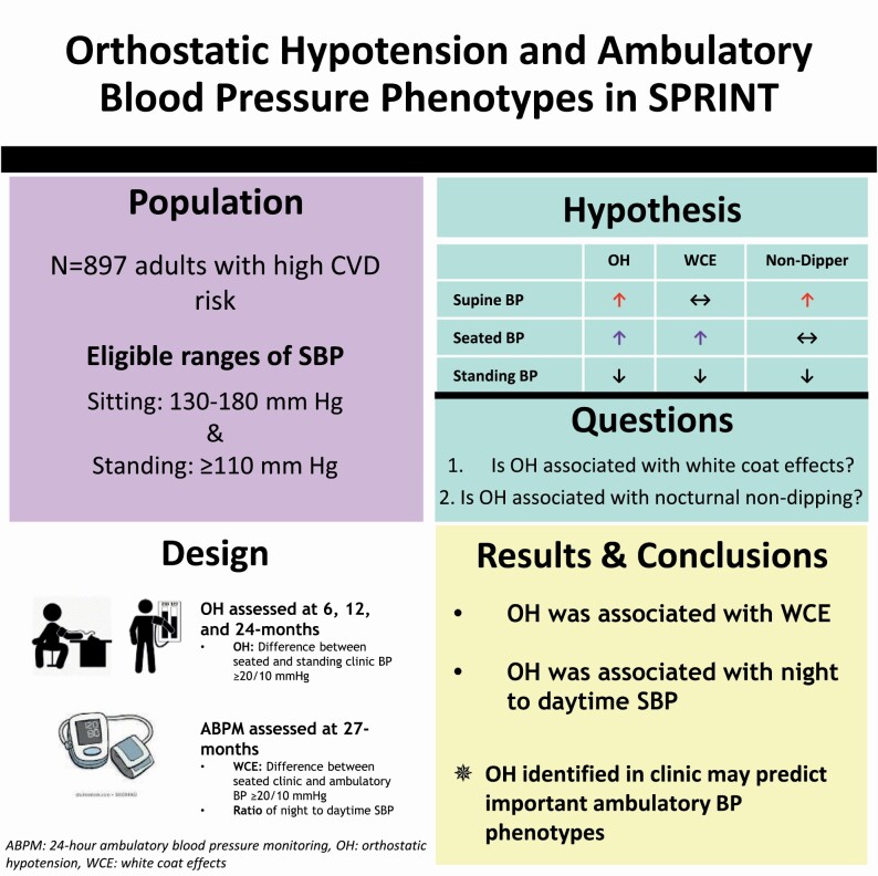 Graphical Abstract