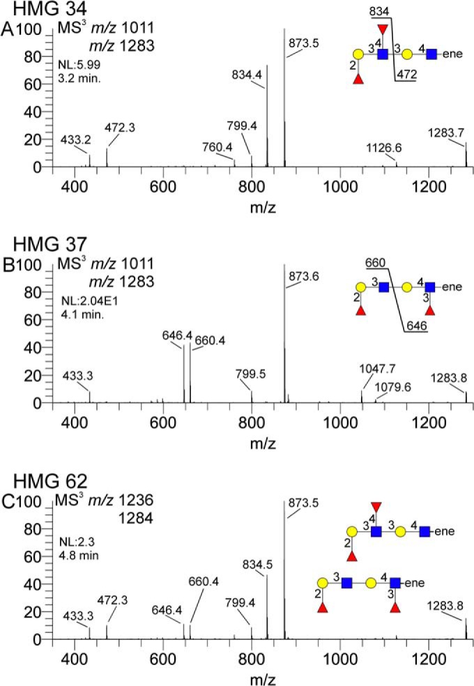 Fig. 8.