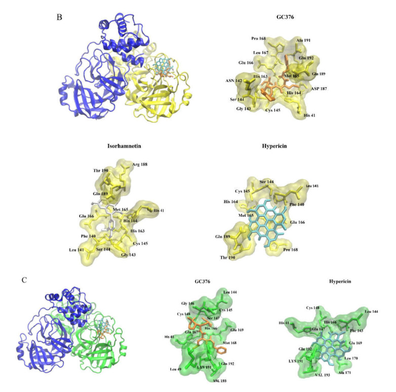 Figure 6