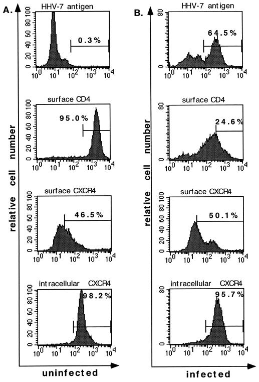 FIG. 5