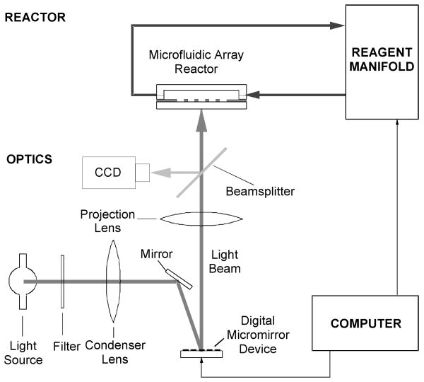 Fig. 1