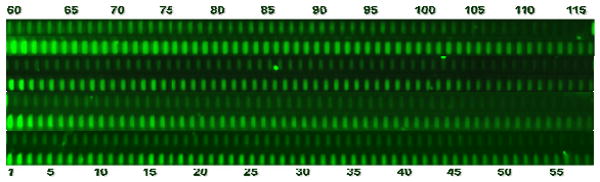 Fig. 10