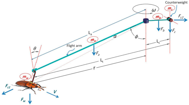 Figure 14