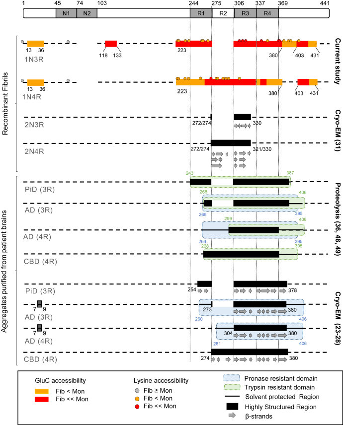 Figure 6