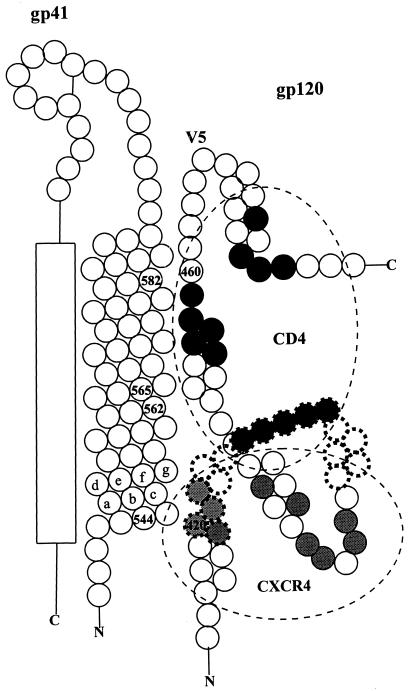 FIG. 3