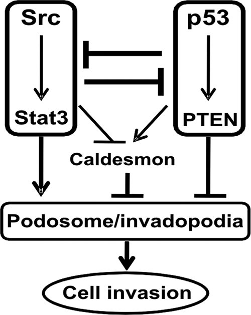 FIG. 8.