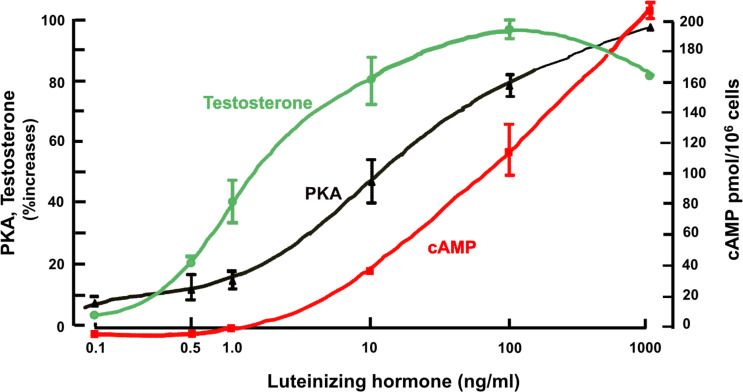 Figure 3