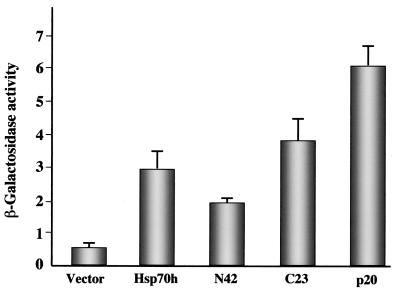 FIG. 2.