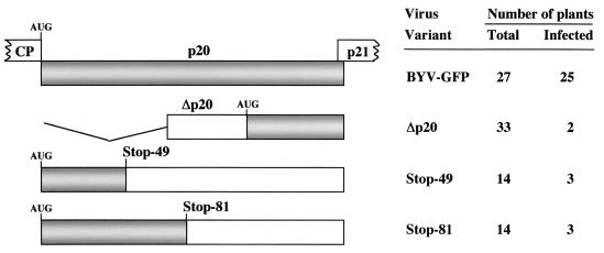 FIG. 5.